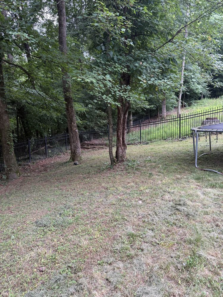 Freshly mowed backyard after GreenShine Outdoors lawn service