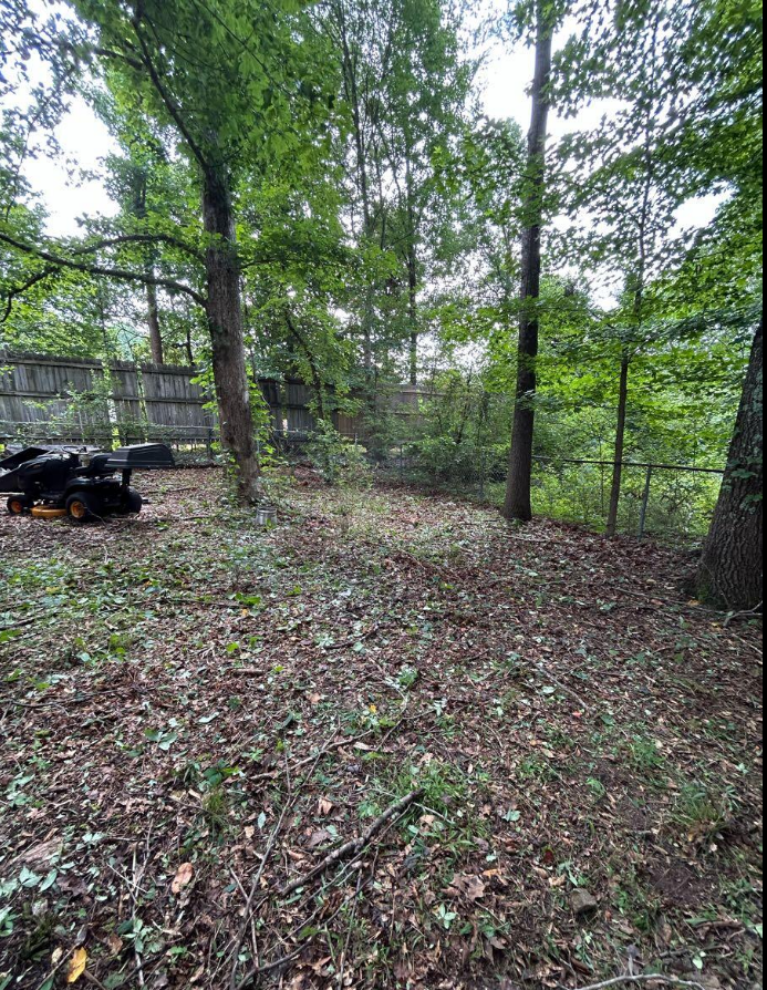 Wooded yard after GreenShine Outdoors yard cleanup