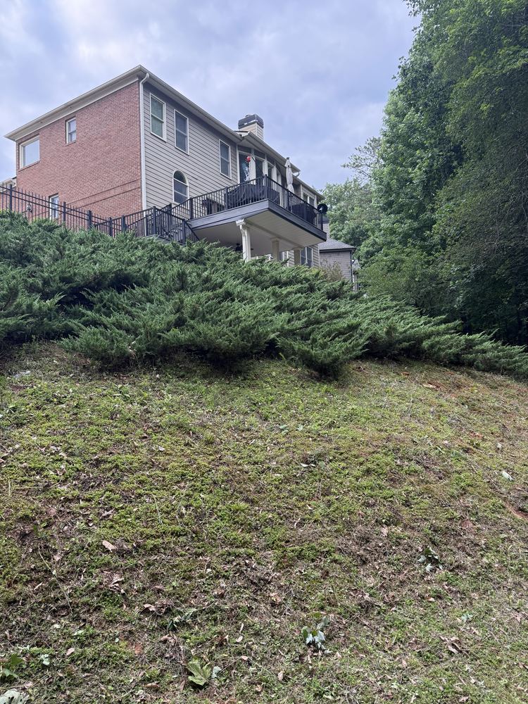 Mowed backyard slope after GreenShine Outdoors cleanup