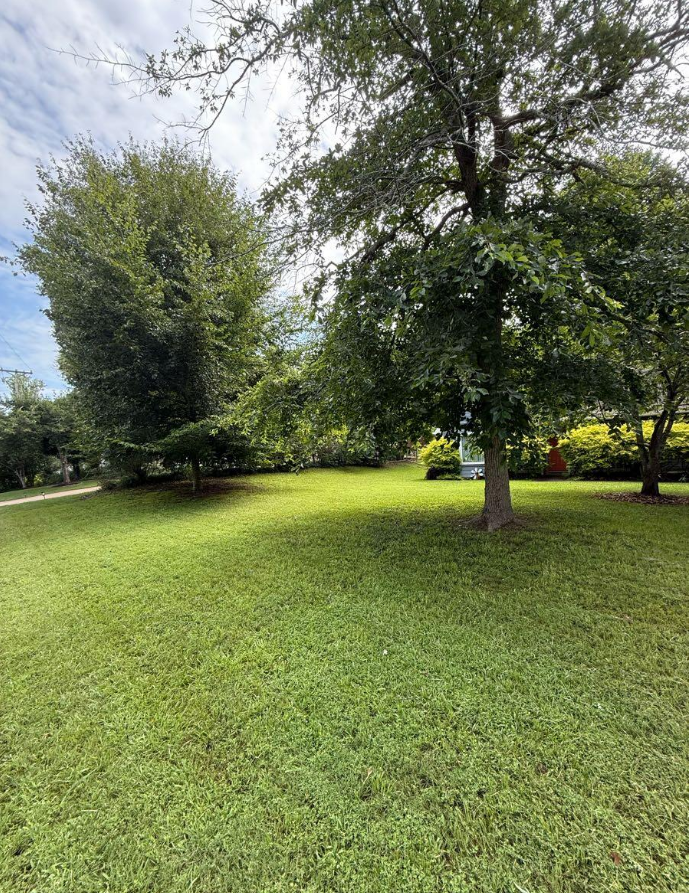 Green lawn after mowing and trimming service by GreenShine Outdoors