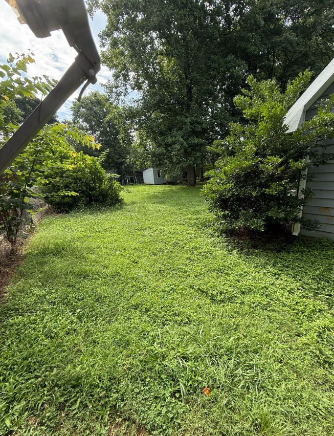 Overgrown backyard before a GreenShine Outdoors lawn mowing project